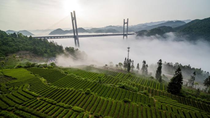 航拍山区云雾中的高速路高架桥