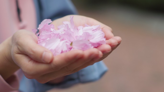 手捧花瓣吹花朵