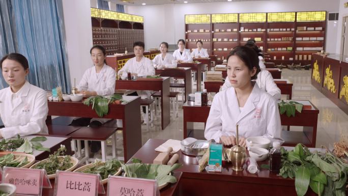 傣医药课程教学