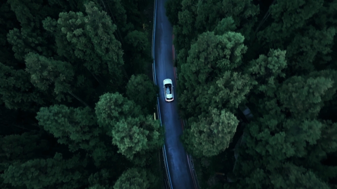航拍行驶在森林中的汽车自驾旅行
