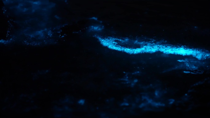 荧光海 海浪 礁石 夜光藻