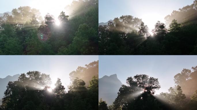 4K-Log-航拍热带雨林，五指山晨雾