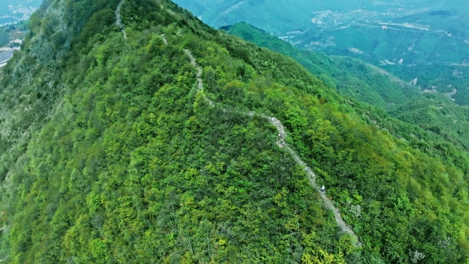 陕西秦岭商洛镇安海棠山云海