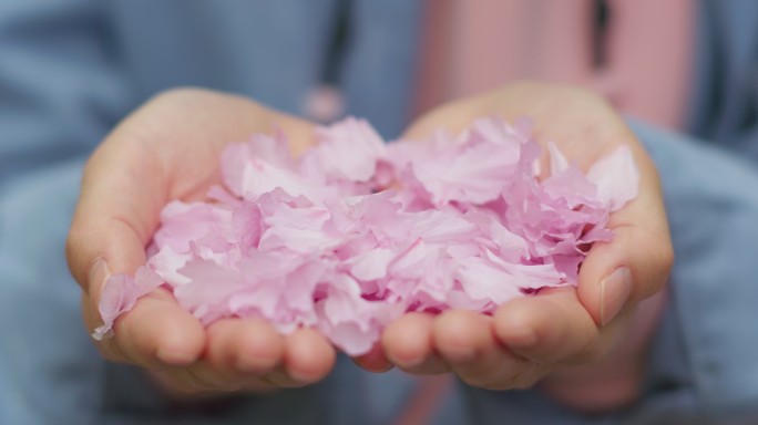 手捧花瓣吹花朵