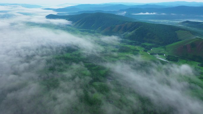 大兴安岭云海森林林海清晨薄雾延时