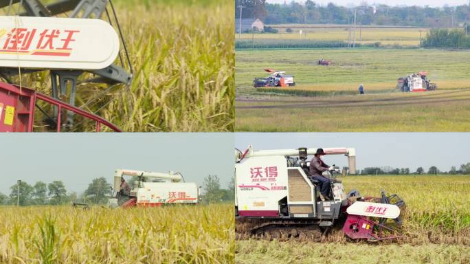 农用机械收割机收稻机机械化农业