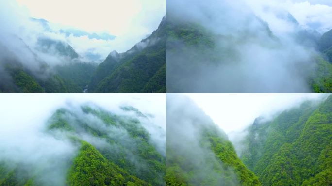 大气穿越云海青山云雾大好河山