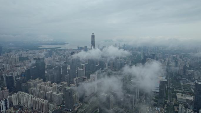城市建筑云海 平流雾