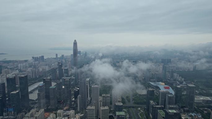 城市建筑云海 平流雾