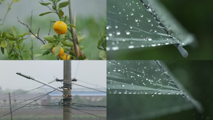 下雨清明谷雨阴雨天气阴天雷雨暴雨大雨