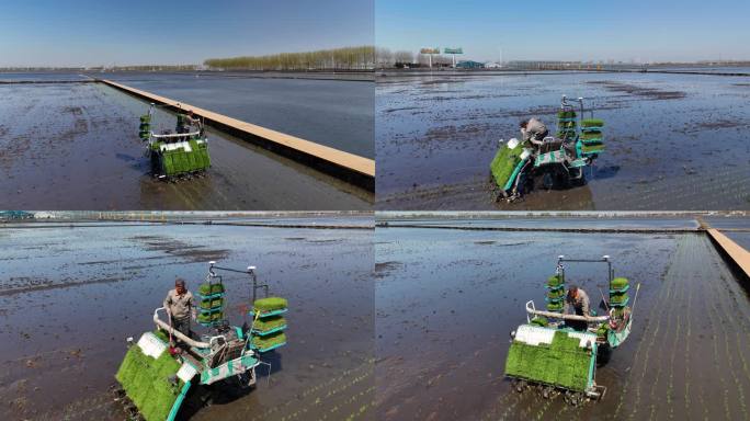 无人驾驶插秧机自动化农业
