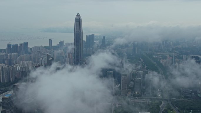 深圳云海 城市平流雾