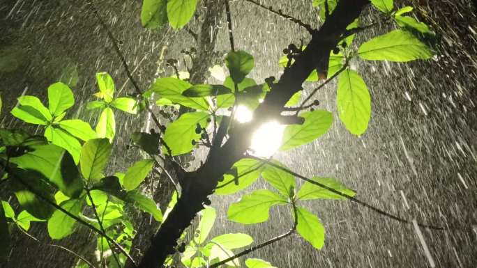 瓢泼大雨 电闪雷鸣 狂风大作 雷阵雨闪电