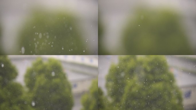 暴雨 雨天 树林