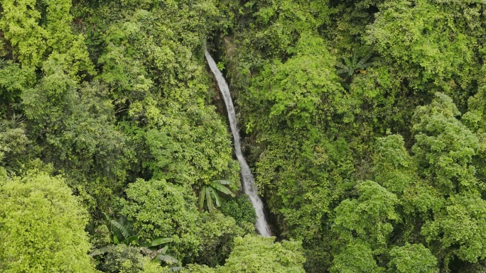 森林绿水青山瀑布流水