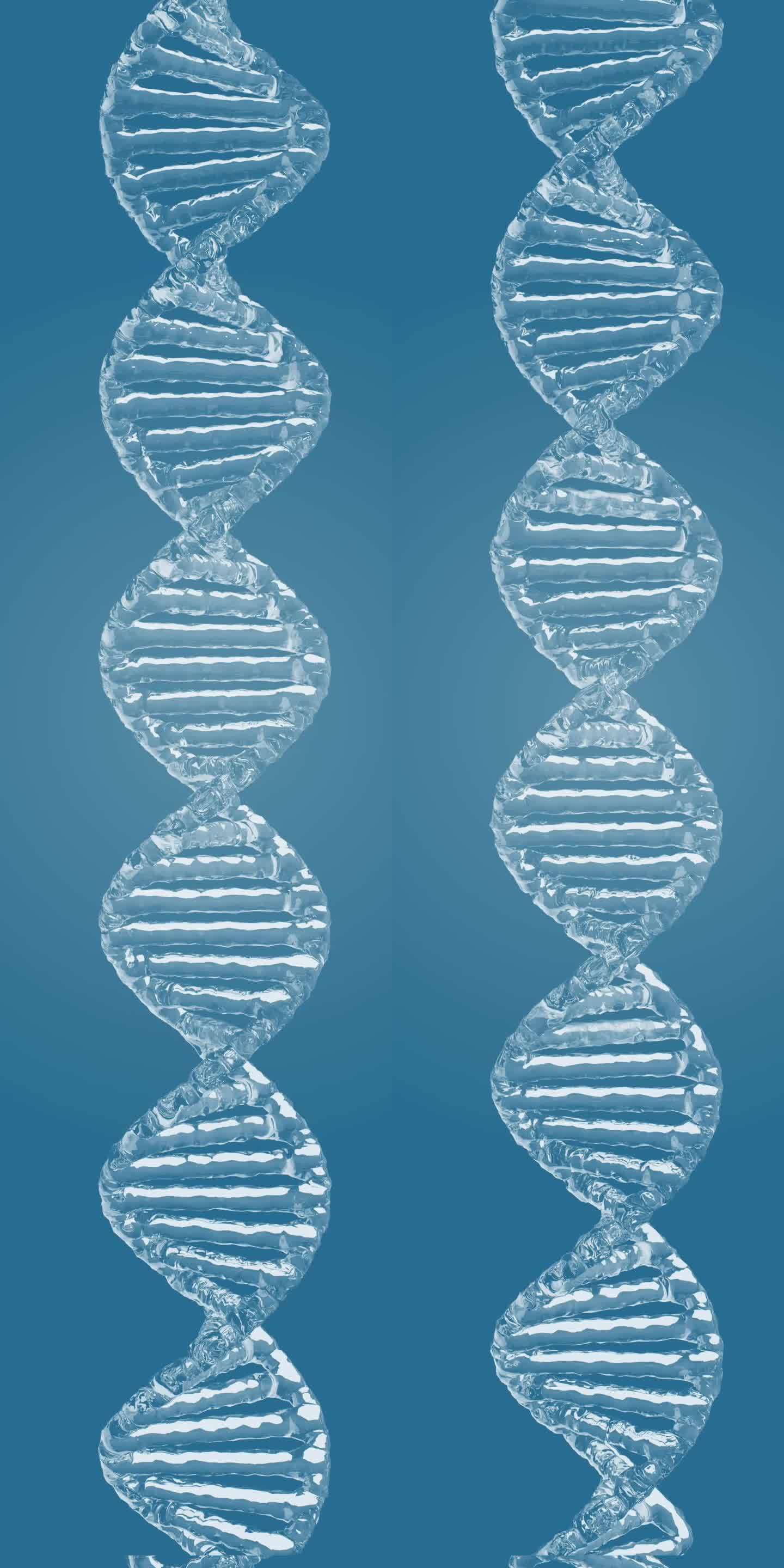 透明水分子DNA链-带通道循环
