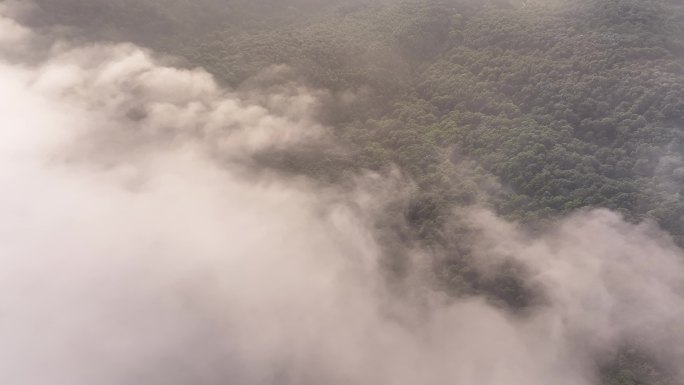 航拍云雾云海平流雾山林自然风光