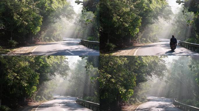 4K-Log-航拍洒满阳光的树林道路