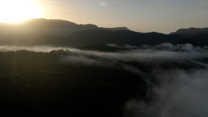 【4K】武夷山茶园日出云雾航拍