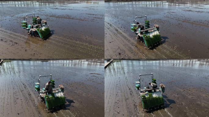 无人驾驶插秧机自动化农业