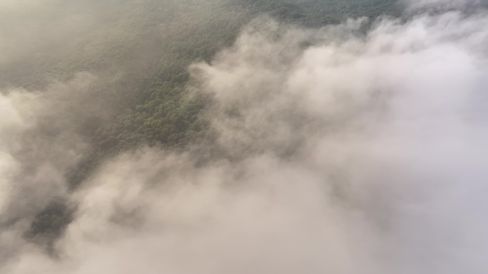 航拍云雾云海平流雾山林自然风光