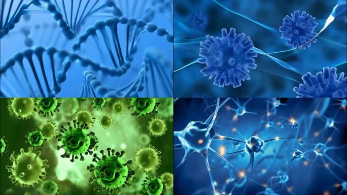 【4K】细菌生物DNA细胞微生物生命科技