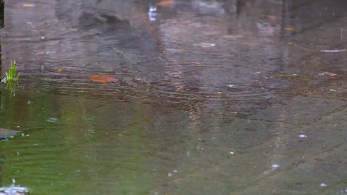 城市马路道路下暴雨倾盆大雨下雨天雨水雨滴