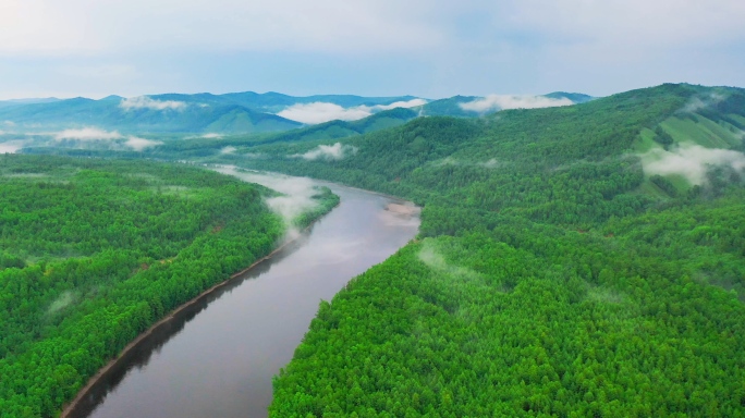 大兴安岭云海森林林海雨后薄雾延时白鹿岛