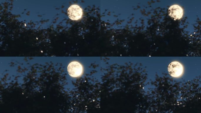 大月亮 明月划过秋季的树梢