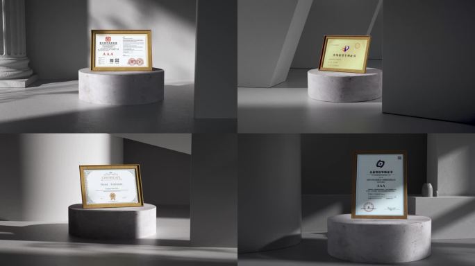 4k光影 简约高端证书 企业品牌展示