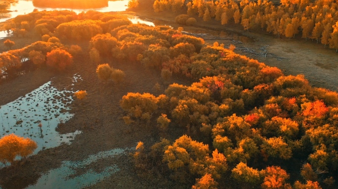 湿地秋天清晨秋日额尔古纳湿地大兴安岭秋