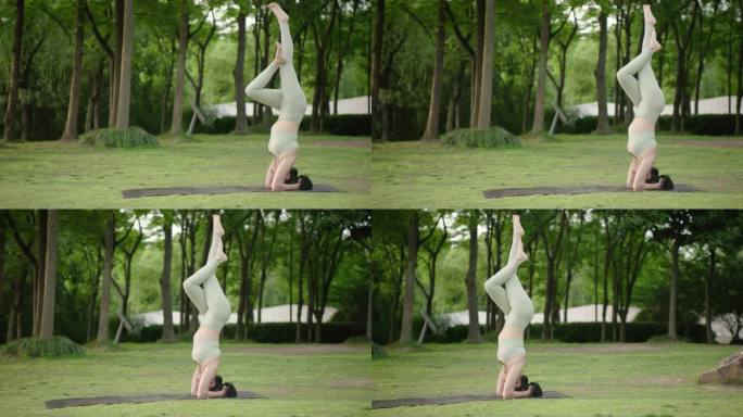 瑜伽户外美女瑜伽瑜伽教练普拉提运动锻炼