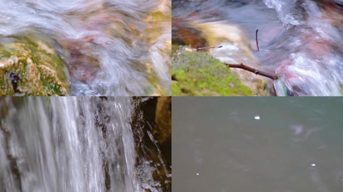 杭州植物园小溪流水风景视频素材440