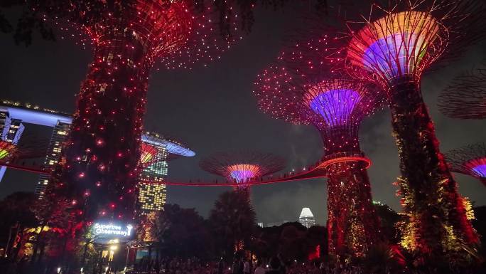 滨海湾之夜：新加坡花园灯光秀奇景"