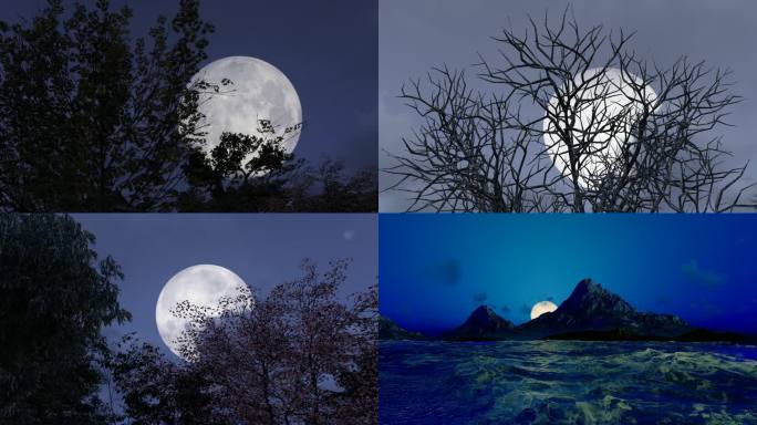 夜晚凄凉寒冷的月夜和乌云延时