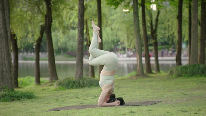 瑜伽户外美女瑜伽瑜伽教练普拉提运动锻炼