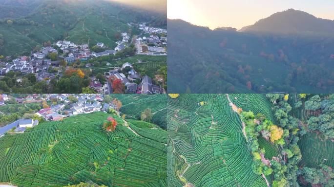 唯美杭州西湖龙井茶文化景区航拍茶园地茶叶