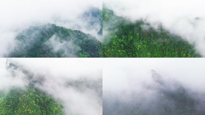 云雾缭绕仙气灵气山清水秀大山森林树木雨季