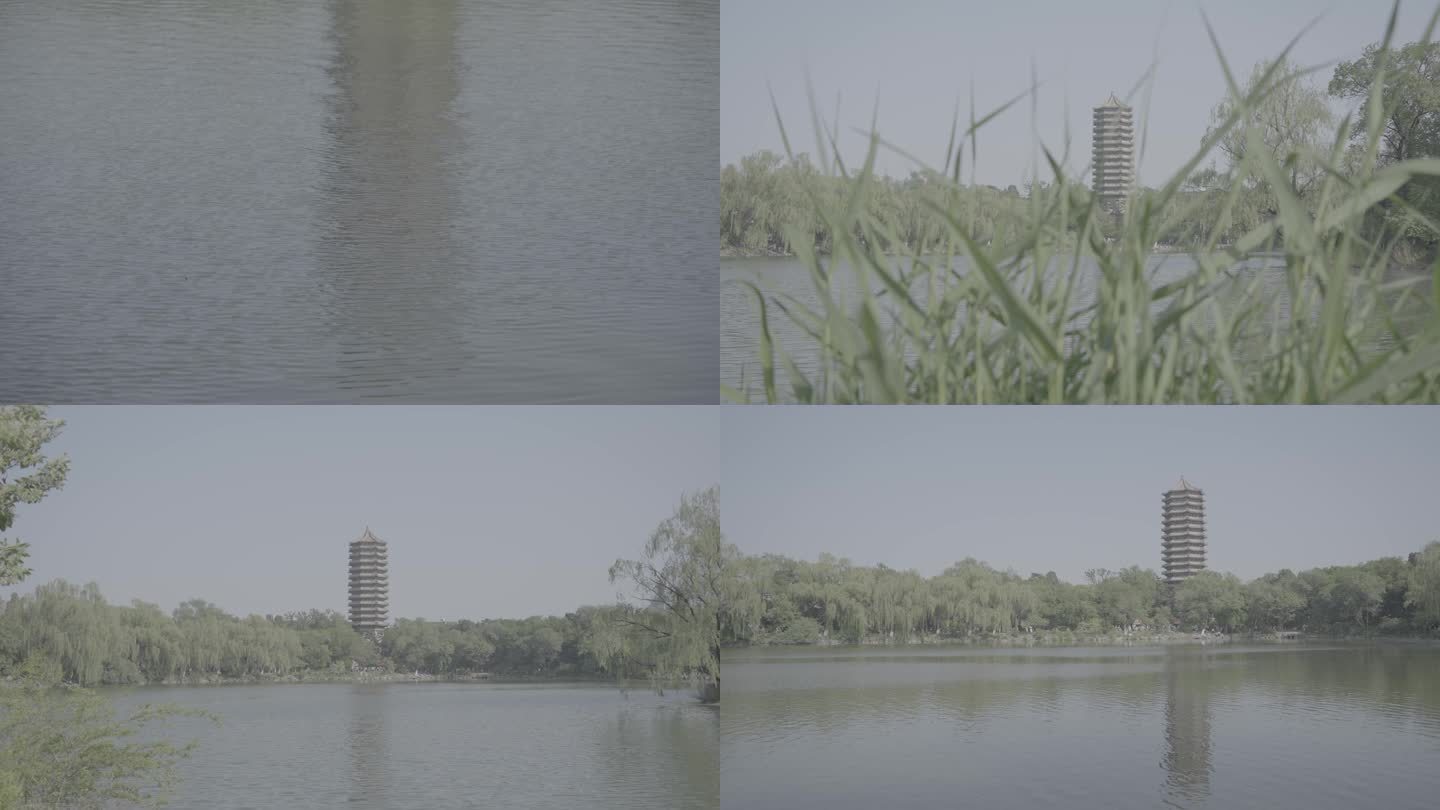 北京大学 未名湖 博雅塔 灰片