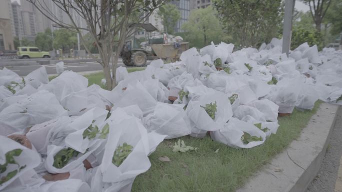 路边堆放的花盆