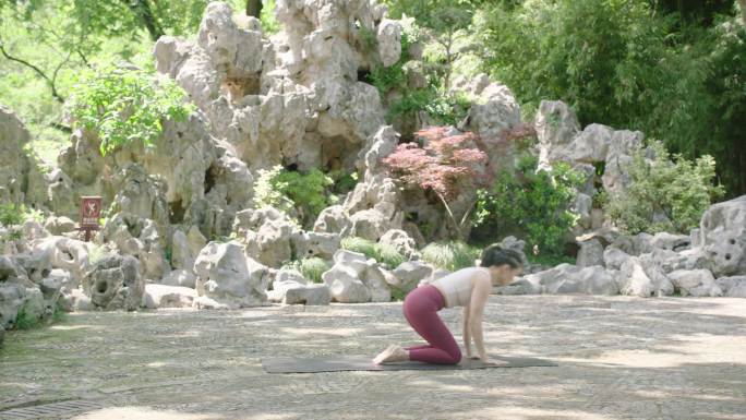 瑜伽锻炼普拉提运动健身减肥热身公园树林