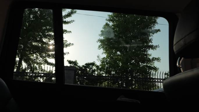 车窗外树影