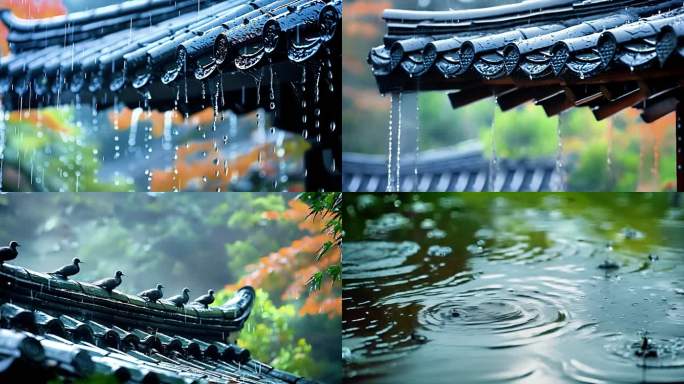 下雨的季节 下雨的屋檐 小桥灌木 花朵