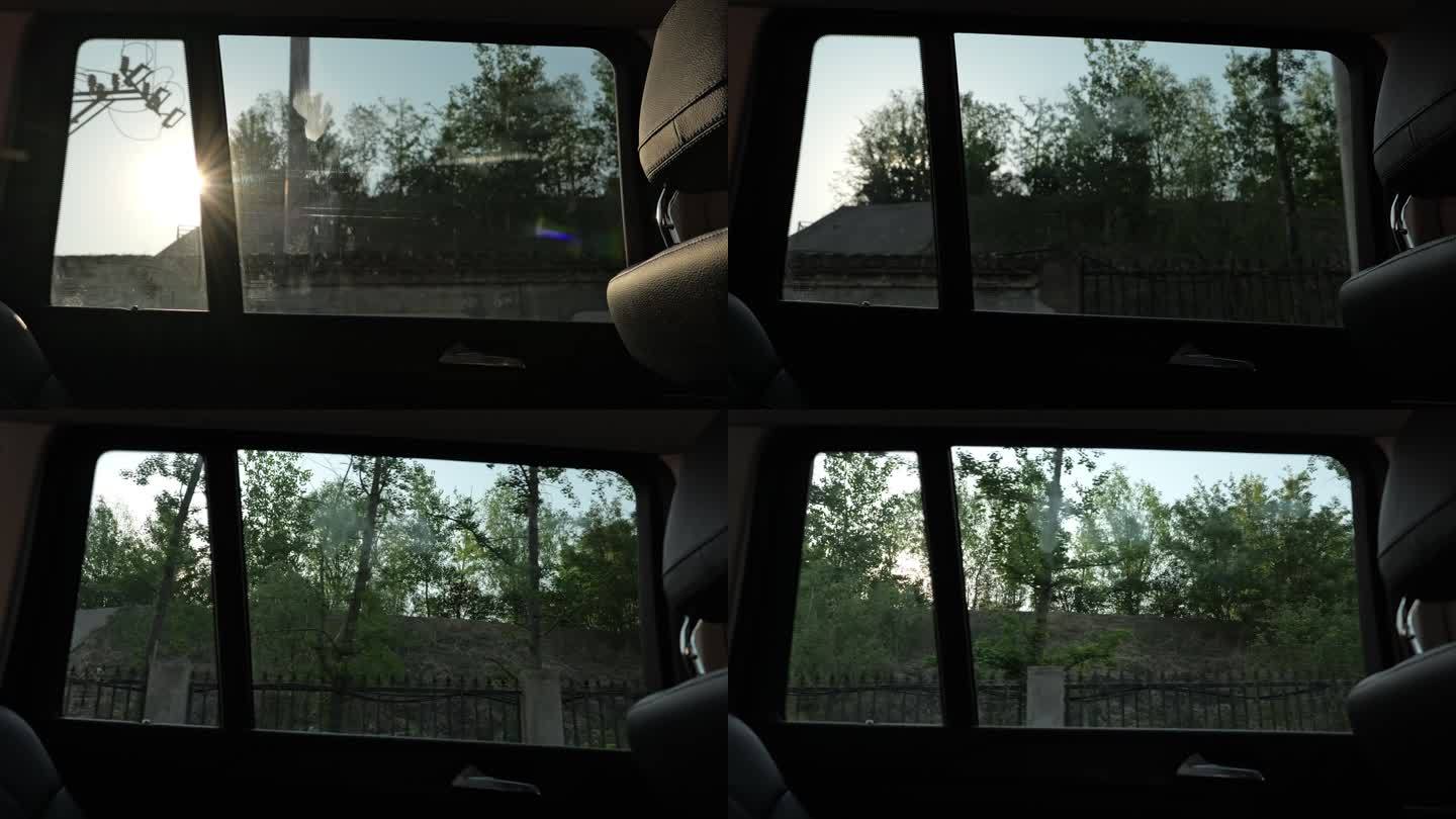车窗外树影