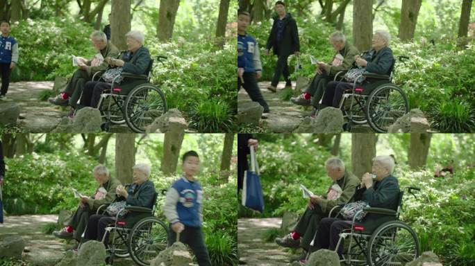 孤寡老人老年夫妻轮椅残疾人老太太公园树林