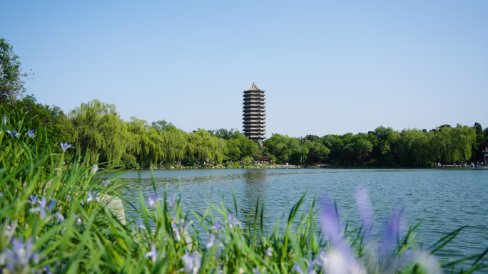 北京大学 未名湖 博雅塔