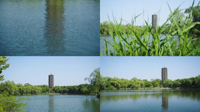 北京大学 未名湖 博雅塔