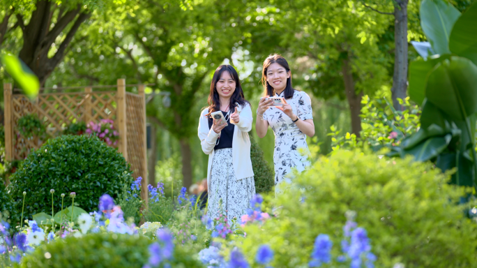 园林设计 春天的花 美女在花园拍照 公园