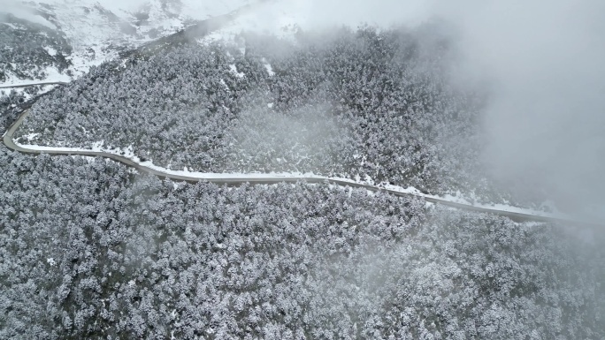 雪山森林雪景公路