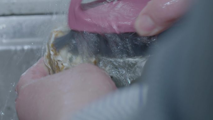 牡蛎生蚝视频素材